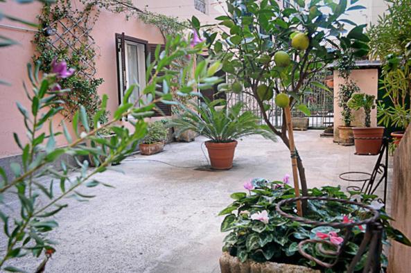 Minerva House Appartement Rome Buitenkant foto
